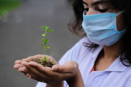 plant-6257392_1280
